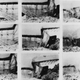 Image for article titled Historic Bridge Disasters Caught On Film